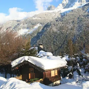 Alpine Rose Chamonix
